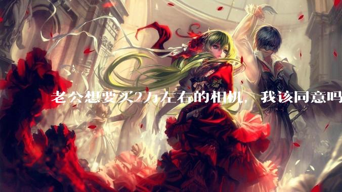 老公想要买2万左右的相机，我该同意吗？