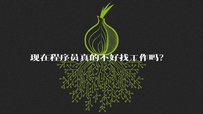 现在程序员真的不好找工作吗？